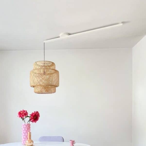 Is your ceiling suitable for the Lightswing®?