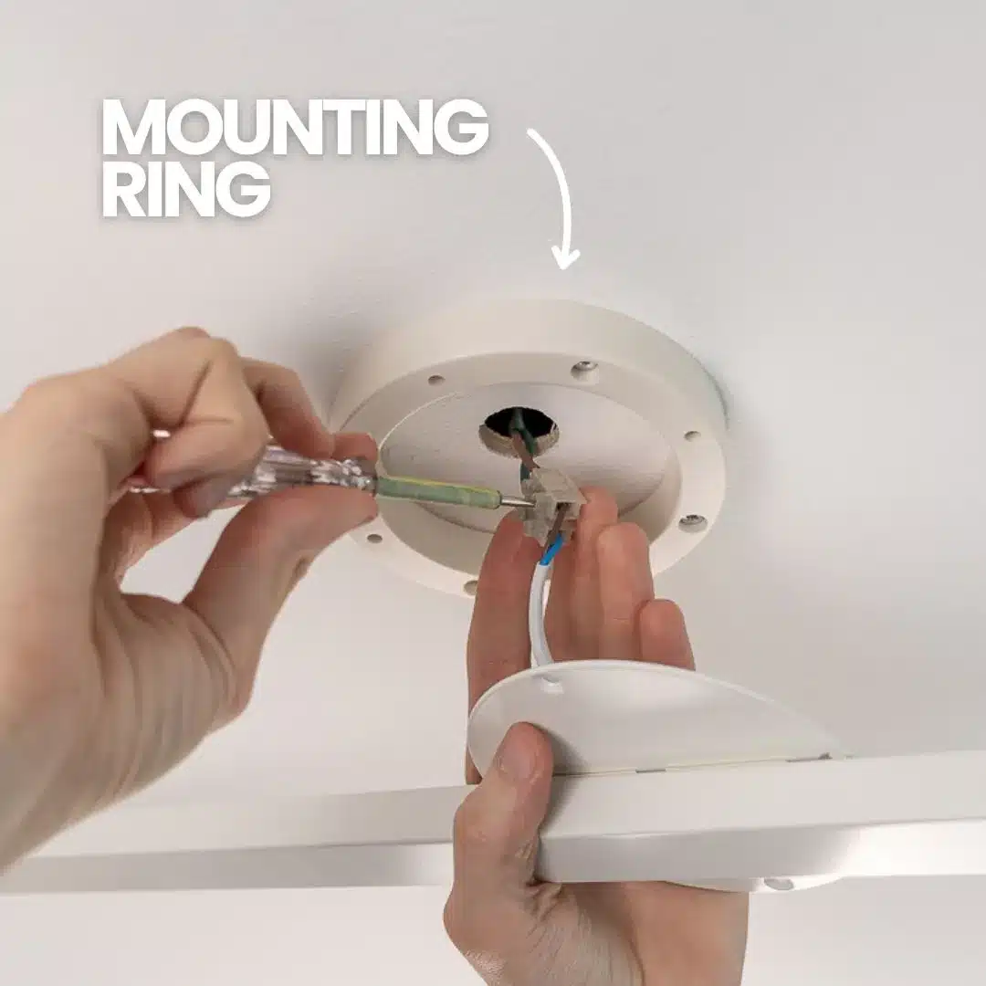 Lightswing® Twin